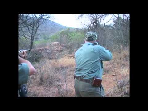 Video: S. Africa Rhino Hunting Auction Nag-uudyok Ng Kontrobersya