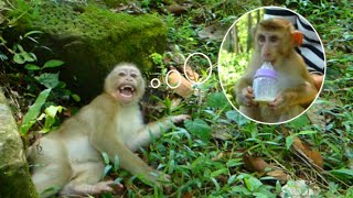 Spoiled Benjo Screaming Cres Drop Body To Ground Need His Milk Bottle From Dad