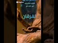 سبوح قدوس رب الملائكة والروح حارق للاستحواذ الشيطاني سبوح قدوس رب الملائكة والروح حارق للاستحواذ الشيطاني