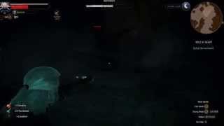 The Witcher 3: Recording test AMD Gaming Evolved APP