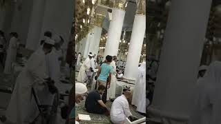 Download Lagu MADINA LIVE || Fajar Namaz #amazing #world #madina MP3 Download Lagu MADINA LIVE || Fajar Namaz #amazing #world #madina MP3