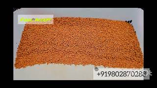 Yellow Mustard ...Bestvision sorter