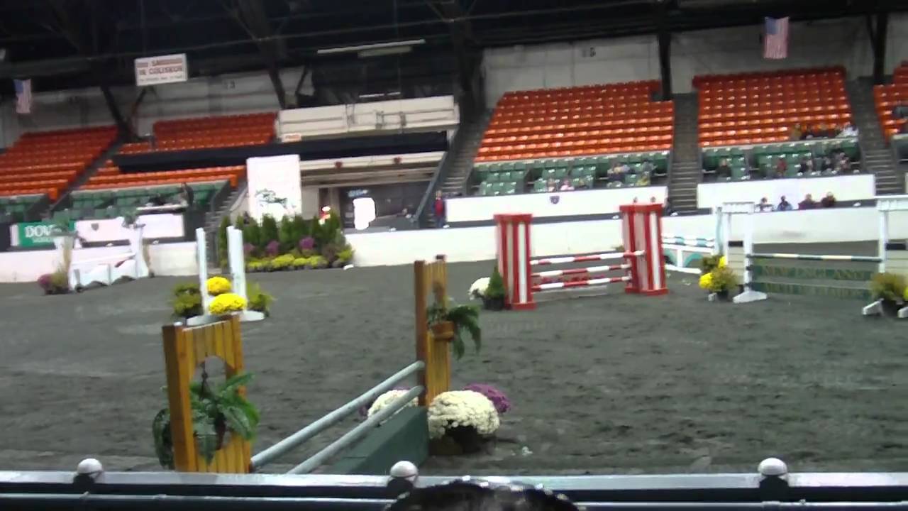 Coco NEHC 2010 Medal