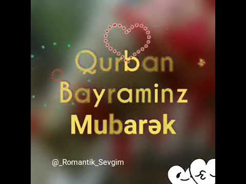 Qurban bayramina aid videolar