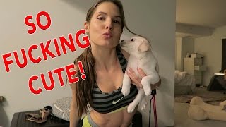 WARNING: ONLY WATCH IF YOU LOVE PUPPIES!!!!