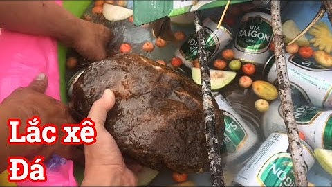 Ăn Nhậu Dưới Suối Nước Chảy .Khu Du Lịch Hồ Than Thở .Hồ Dầu Tiếng. Thanh Tâm Vlog