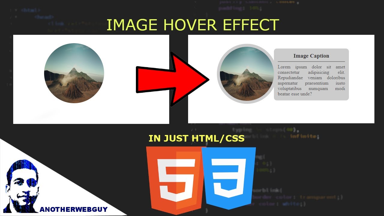Image Caption Reveal Hover Effect | Code Snippet #15 - YouTube