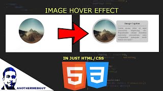Image Caption Reveal Hover Effect Code Snippet