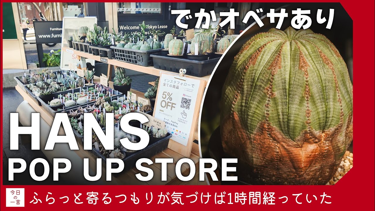 HANSのポップアップストアが予想以上に良かったので買ってきたオベサ 