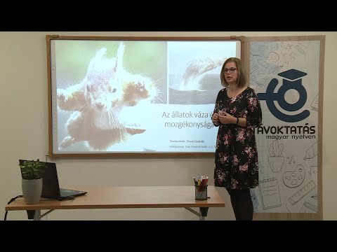 Videó: Gerinces állatok: jelek, jellemzők, jelek