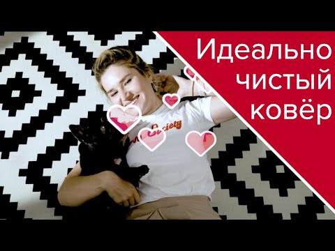 Как почистить ковёр дома | Советы профессионала