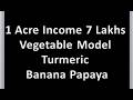 11.1 Acre Income 7 Lakhs Vegetable Model Termeric Banana Papaya School of Forest Farmers DNA Life