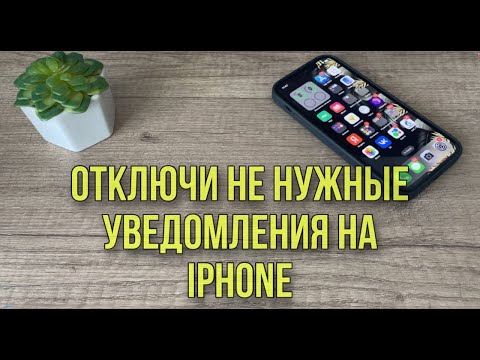 Как отключить уведомления от ненужных приложений на Айфоне? Полезные функции вашего IPhone