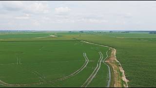 Difficult Conditions Causing Low Rice Acres