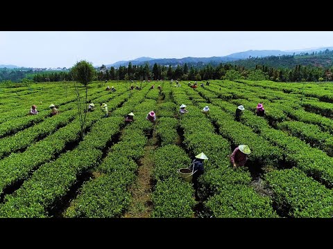 Video: La naturaleza de China y sus características