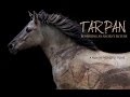 Tarpan: Repainting An Ancient Picture
