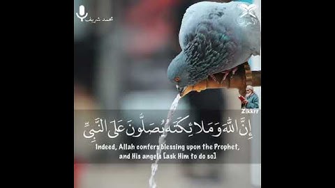 إِنَّ اللَّهَ وَمَلائِكَتَهُ يُصَلُّونَ عَلَى النَّبِيِّ | القارئ محمد شريف