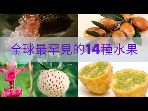 全球最罕見的14種水果，98%的人都沒有見過！