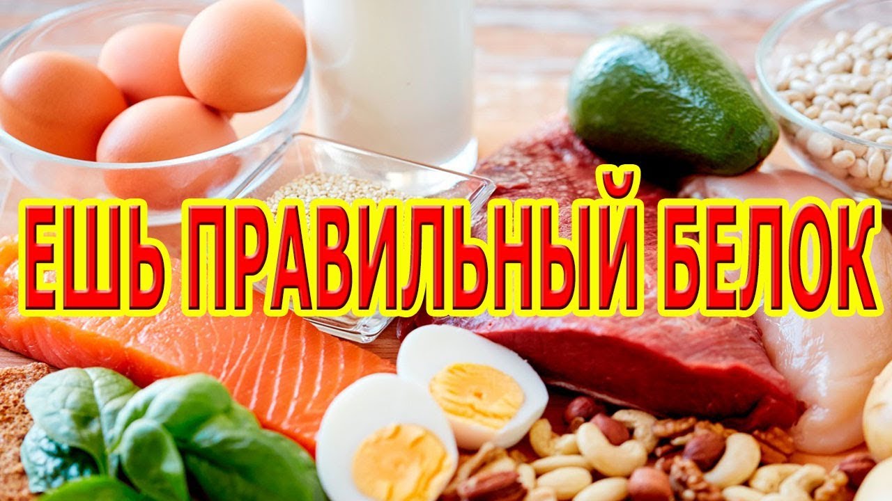 ЕШЬ ПРАВИЛЬНЫЙ БЕЛОК