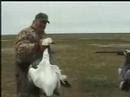 Heli-Hunting at Manitoba's Kaska Goose Lodge with ...