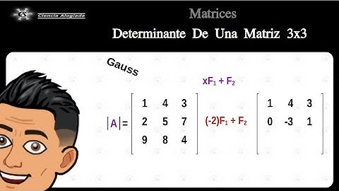 Determinante de Una Matrices 3x3 método de Gauss (M139)