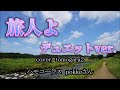 加山雄三　森山良子　旅人よ　デュエットバージョン　cover　tomogara2　ハモコーラス　pokkeさん