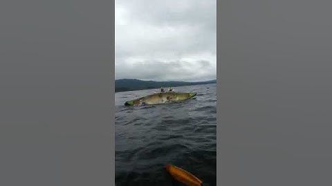 Canoe capsizes