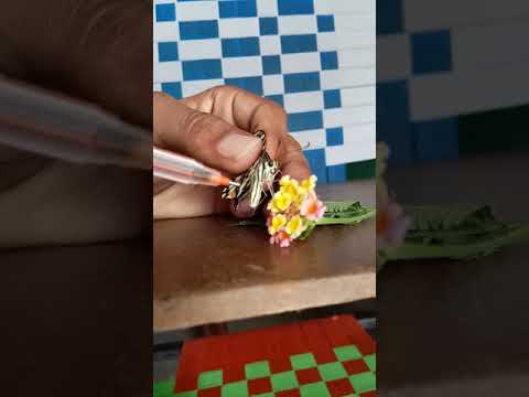 Butterfly Mouth Parts Siphoning Type Youtube