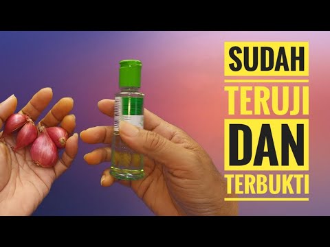 Bawang Merah Minyak Kayu Putih Bisa Jadi Minyak Oles Untuk Si Buah Hati 