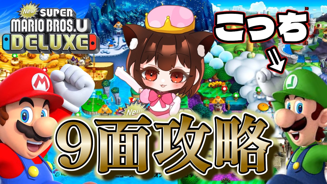 New スーパーマリオブラザーズ U デラックス】とりあえずルイージ