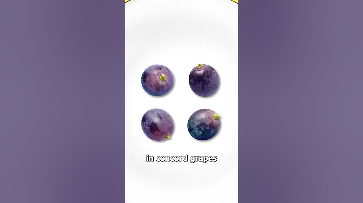 Why Grape-Flavored Things Don't Taste Like Grapes 🤨