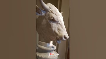 National Gallery of Art - 미국 워싱턴DC 국립 미술관