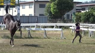 20140923 Aちゃんvsぶっちゃん②