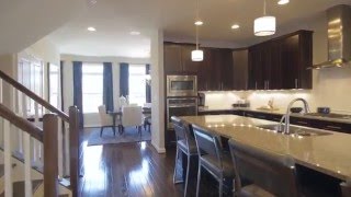 Andrew Carnegie – Alternative Layout