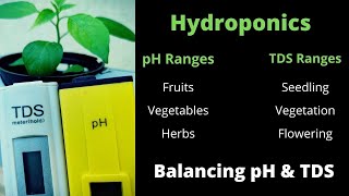 Ph and TDS Requirements in hydroponic plants. Balancing pH & TDS water solution | Maintain | Control