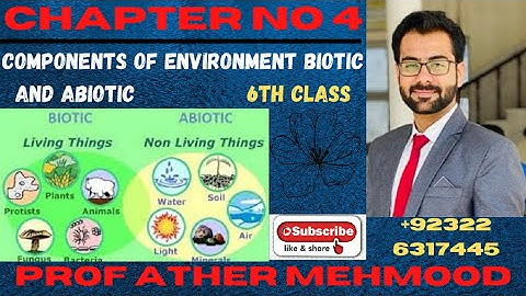 6th-Class-General-Science-Ch-4-Environment-Components-Biotic-Abiotic-Science-Class-6th-in-Urdu|Hindi