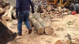 Firewood Processing