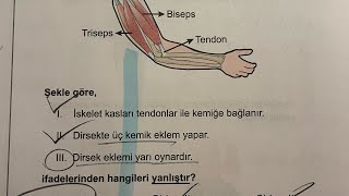 Yks27 - Baba Bize Bunlarla Gel Ilgi Alanimiz
