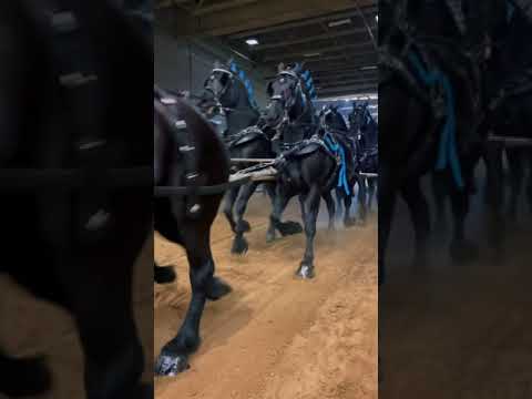 🐎 Os 10