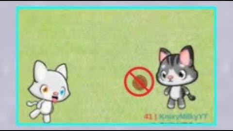 Meow Playground, but if I get tagged the video ends