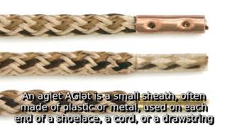 Learn about aglet | what is aglet