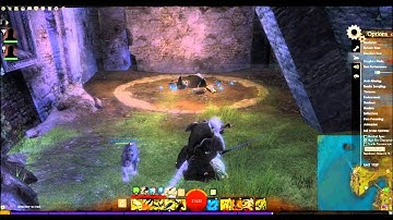 Guild Wars 2 Ranger Sword Autoattack Issue