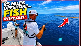 We Found a Random Weed Patch 25 Miles Offshore… INSANE Fishing!