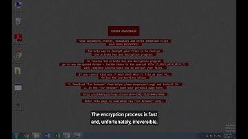 Barkly Runtime Malware Defense vs. Cerber Ransomware