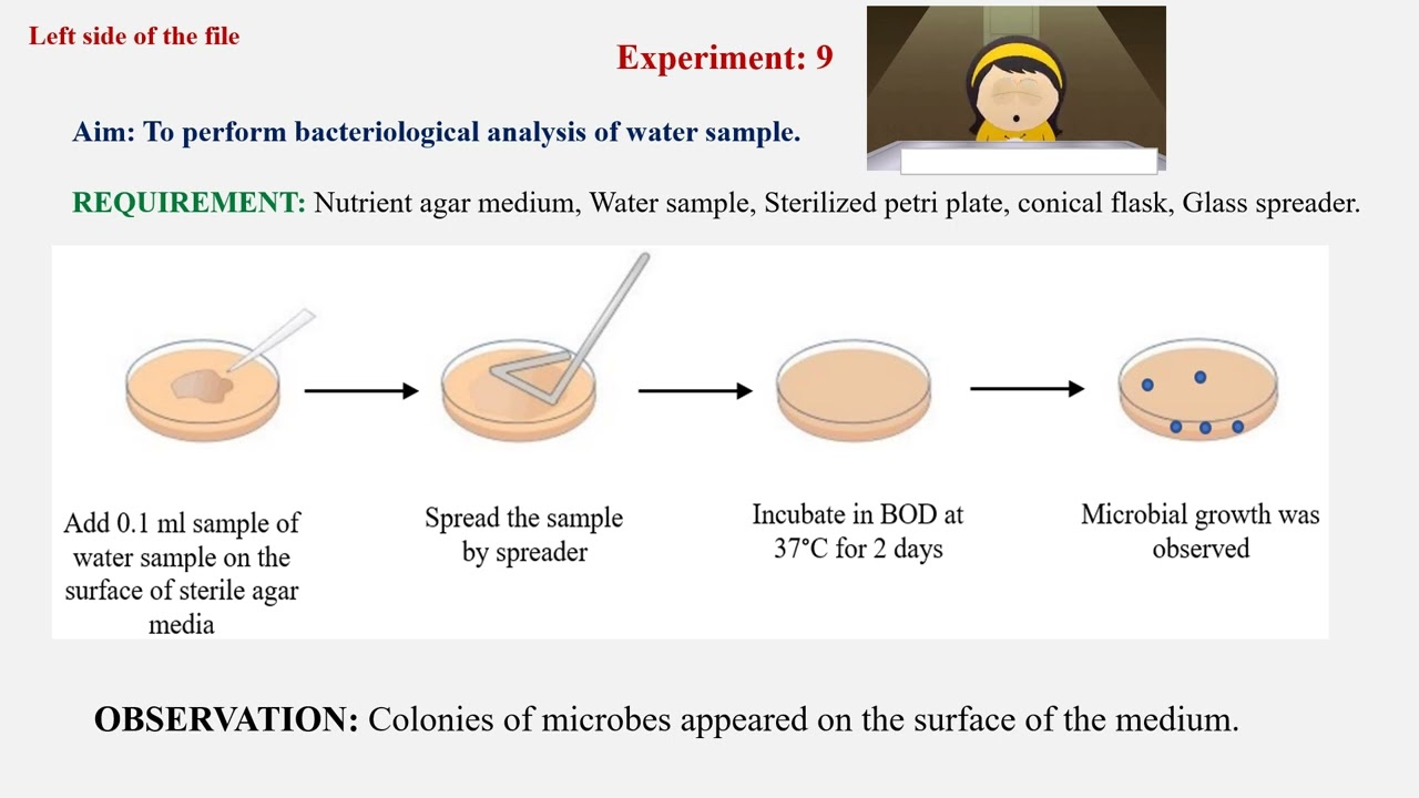 Exp. Microbiology I To perform 