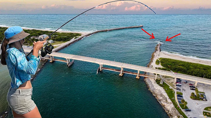 She Caught the Fish We All Wanted! Sebastian Inlet's Holds Monsters🐟 🎣