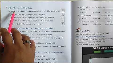 STD 1st Computer Ch-5 The Mouse Part-2