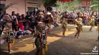 pentas dan peresmian sanggar tari Kresna Aji #senibudaya #senitaritradisional #senitari #jathilan