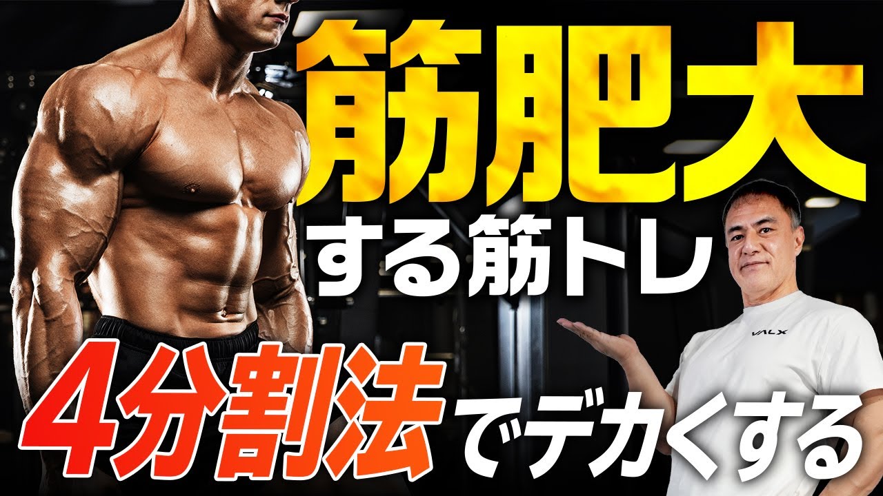 MUSCLE MUSICAL 筋肉の詰め合わせ（パンフレット） MUSCLE MUSICAL 筋肉の詰め合わせ（パンフレット） - メルカリ