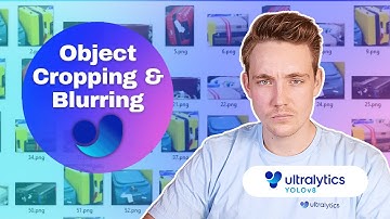 How to Crop and Blur objects using Ultralytics YOLOv8 | Ultralytics Solutions | Episode 57